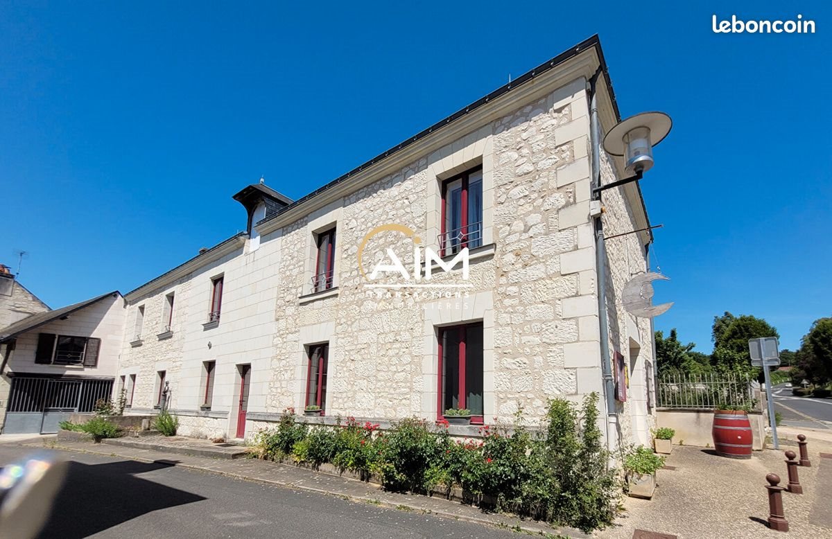 Maison à vendre, 361m², Chinon