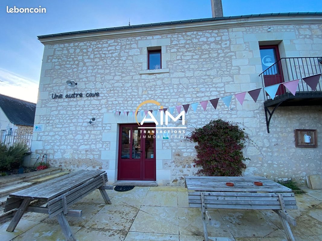 Maison à vendre, 361m², Chinon