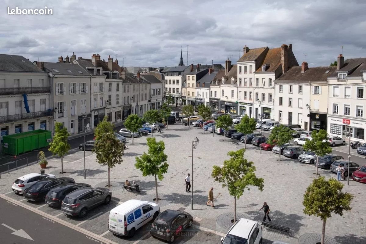 Appartement à vendre, 300m², Montargis