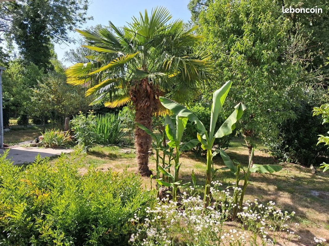 Maison à louer, 90m², Saint-Germain-des-Prés