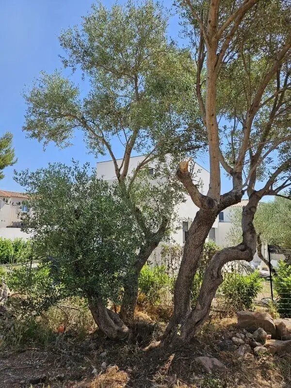 Maison à vendre, 75m², La Garde