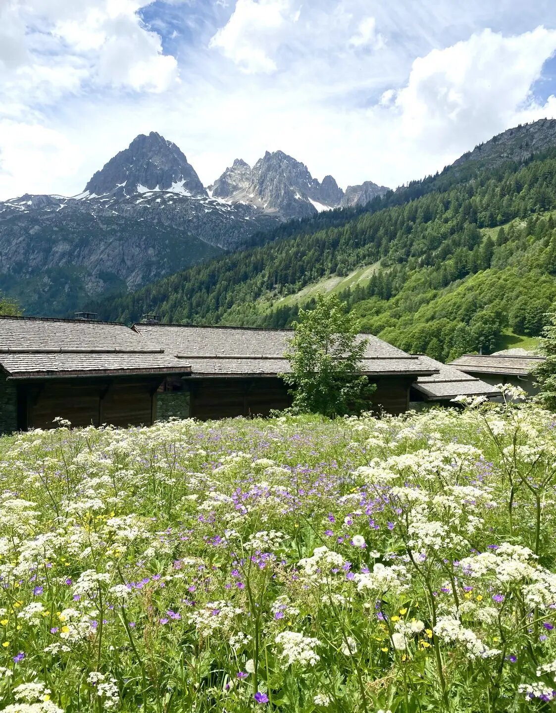 Maison à vendre, 116m², Chamonix-Mont-Blanc