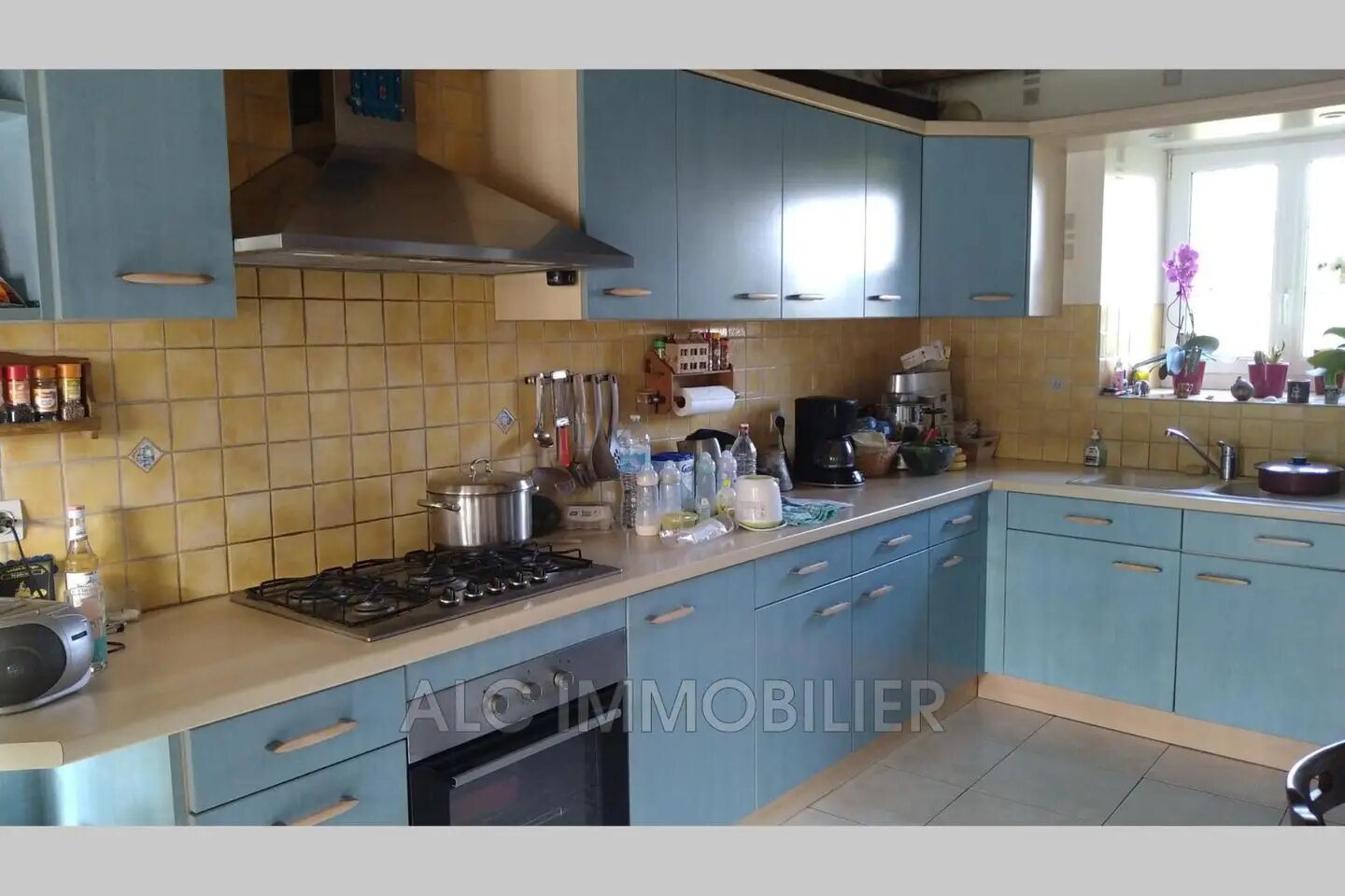 Maison à vendre, 289m², Saint-Denis-sur-Sarthon
