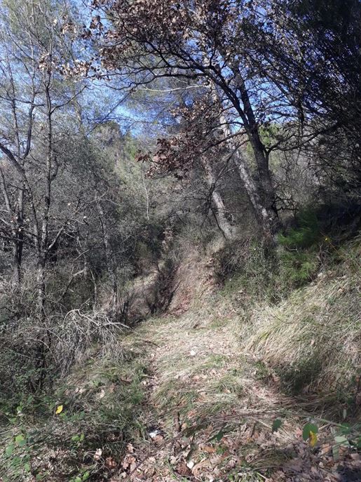 Advert pic 0