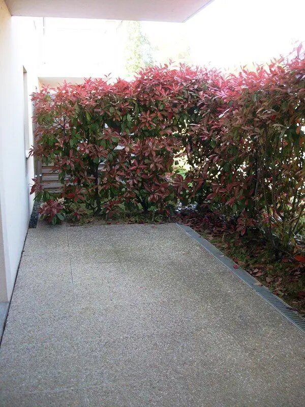 Appartement à louer, 40m², Montaigu