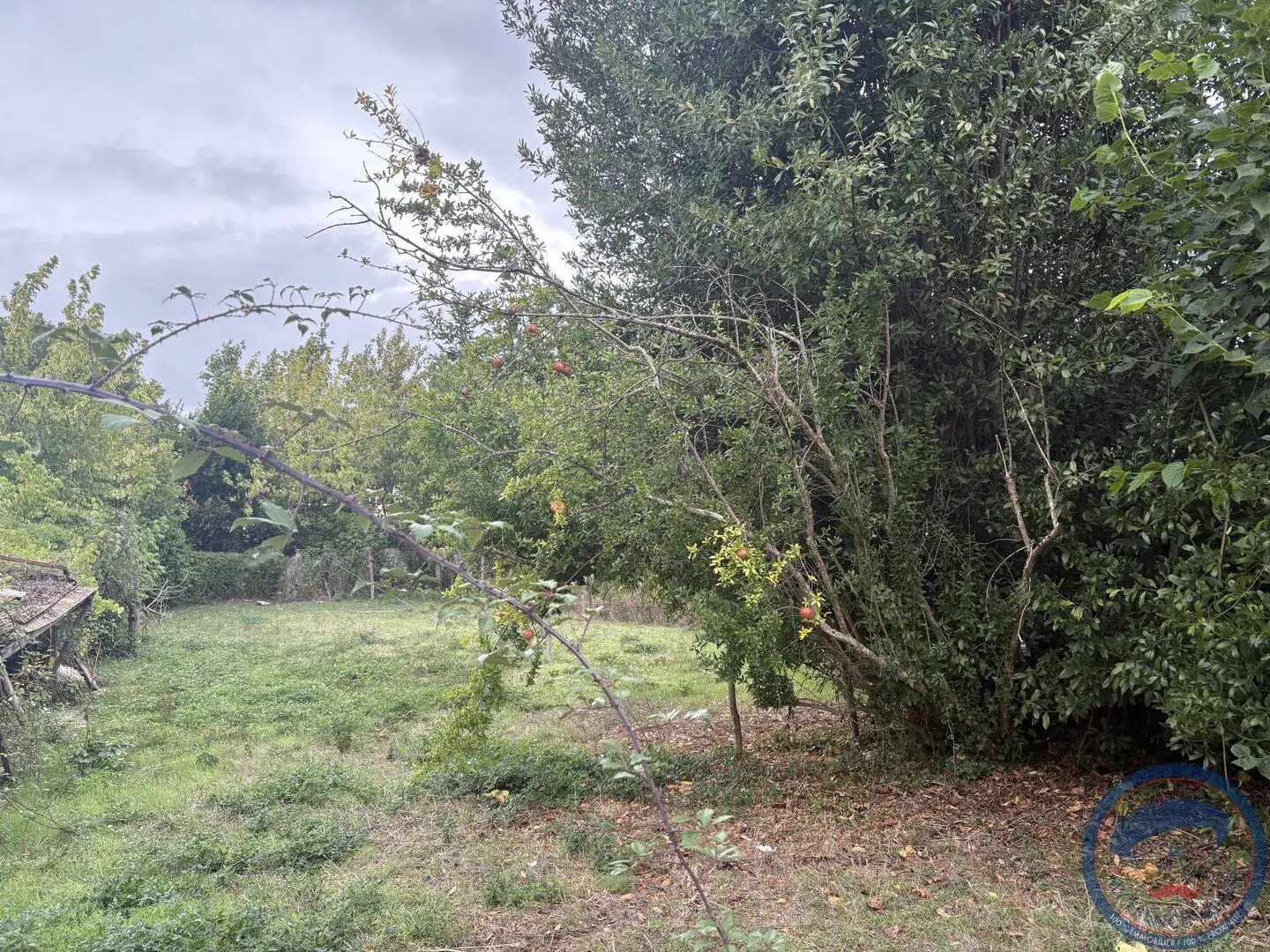 Maison à vendre, 45m², Reugny