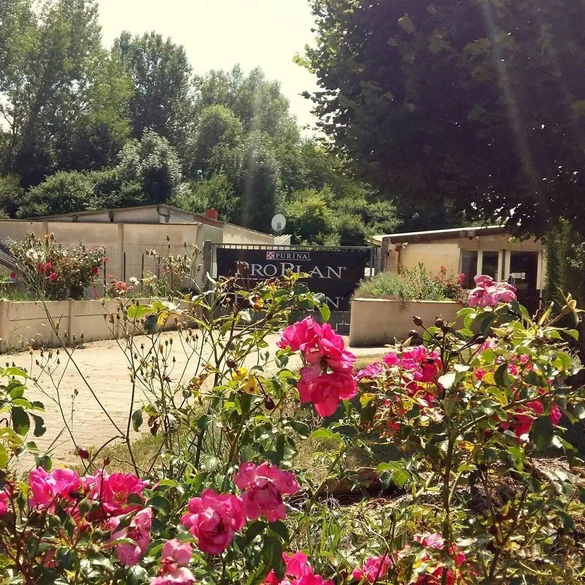 Maison à vendre, 187m², Épernon