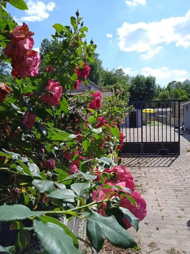 Maison à vendre, 187m², Épernon