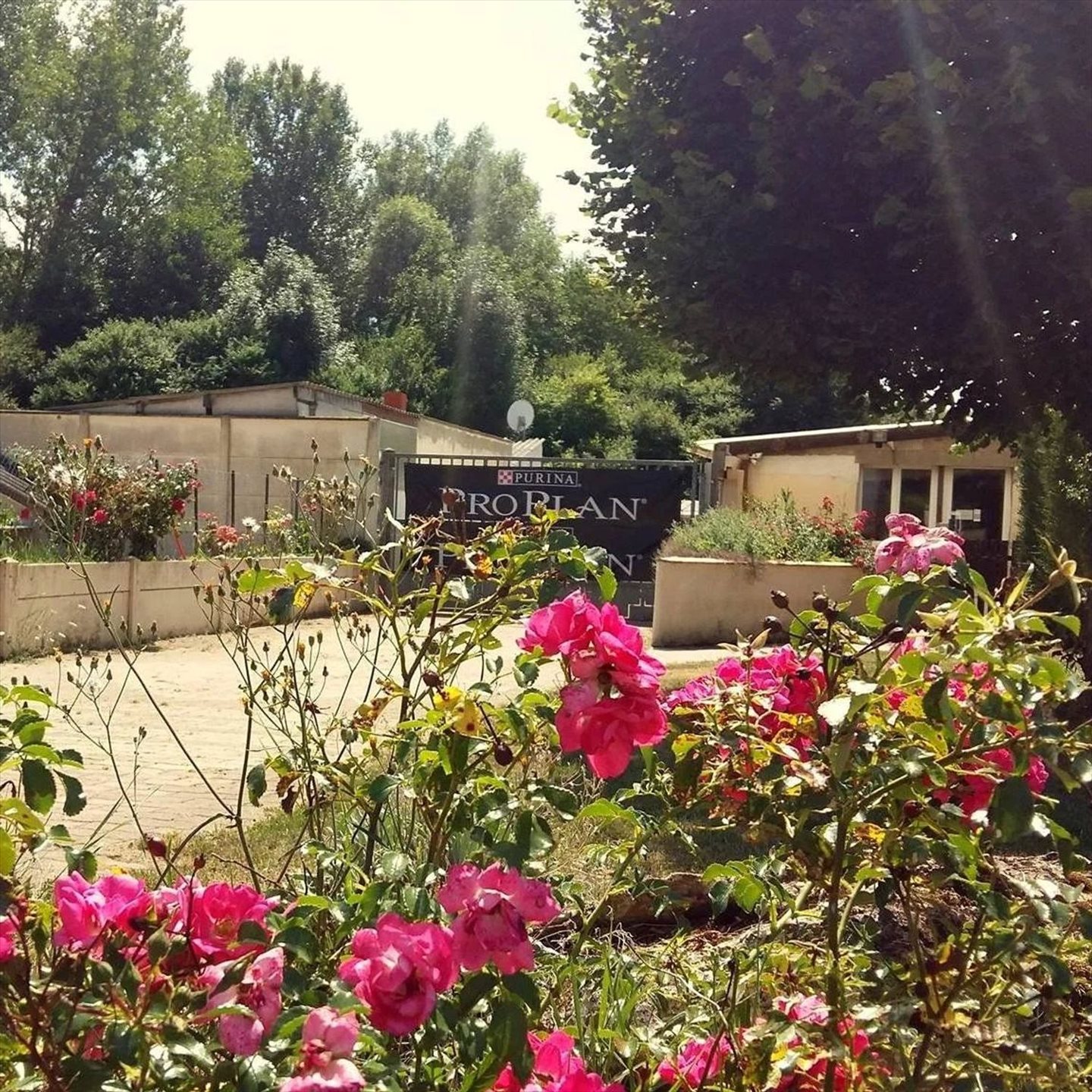 Maison à vendre, 187m², Villiers-le-Morhier