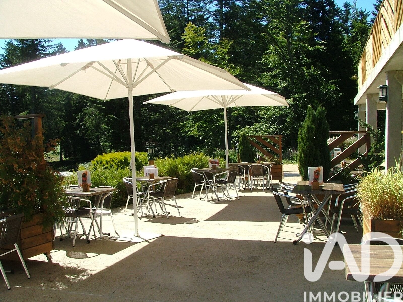Maison à vendre, 480m², Thélis-la-Combe