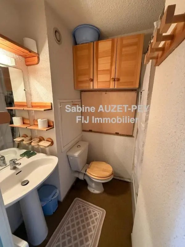 Appartement à vendre, 22m², Selonnet (Chabanon Selonnet)