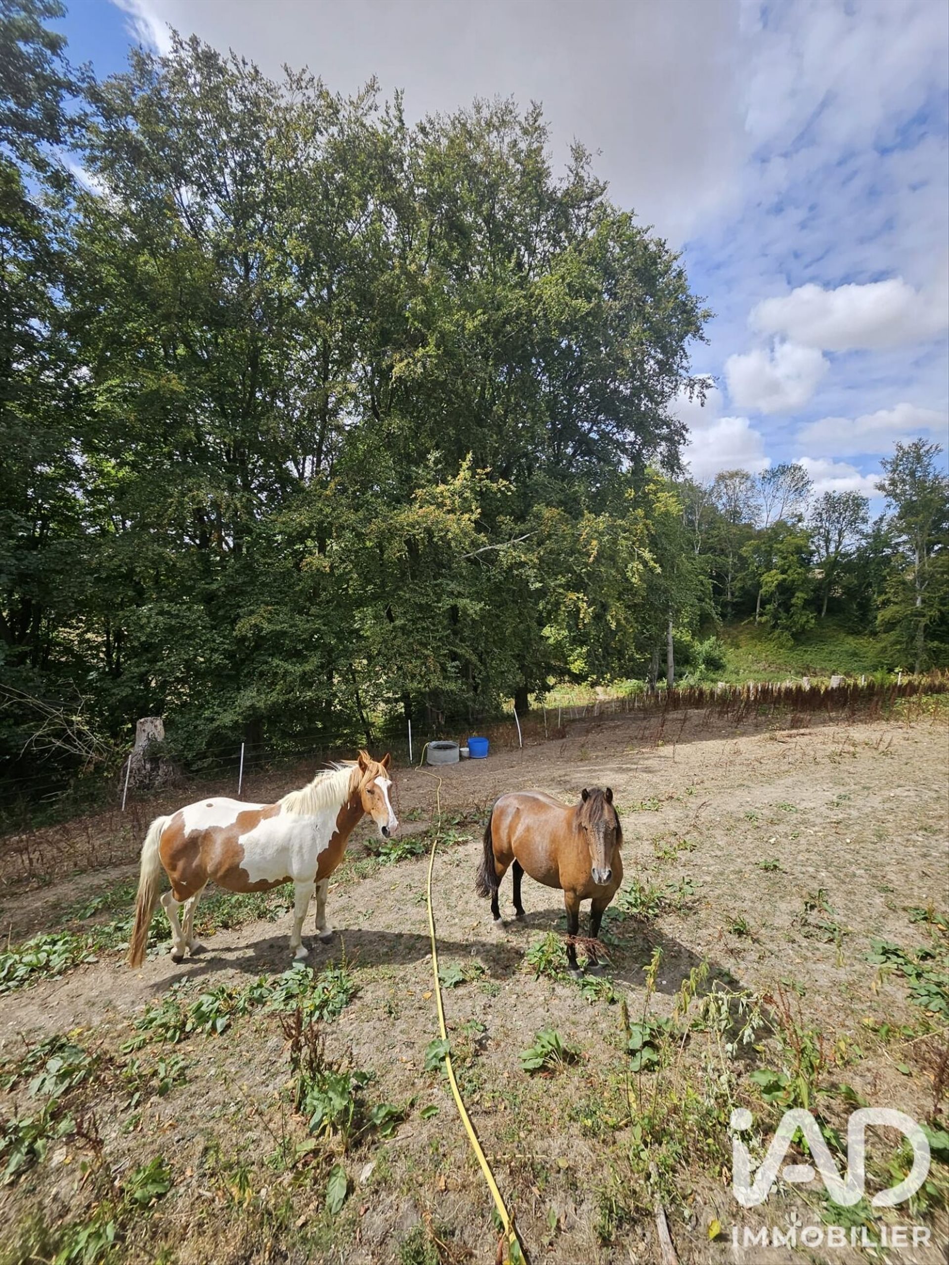 Maison à vendre, 118m², Villers-Ecalles