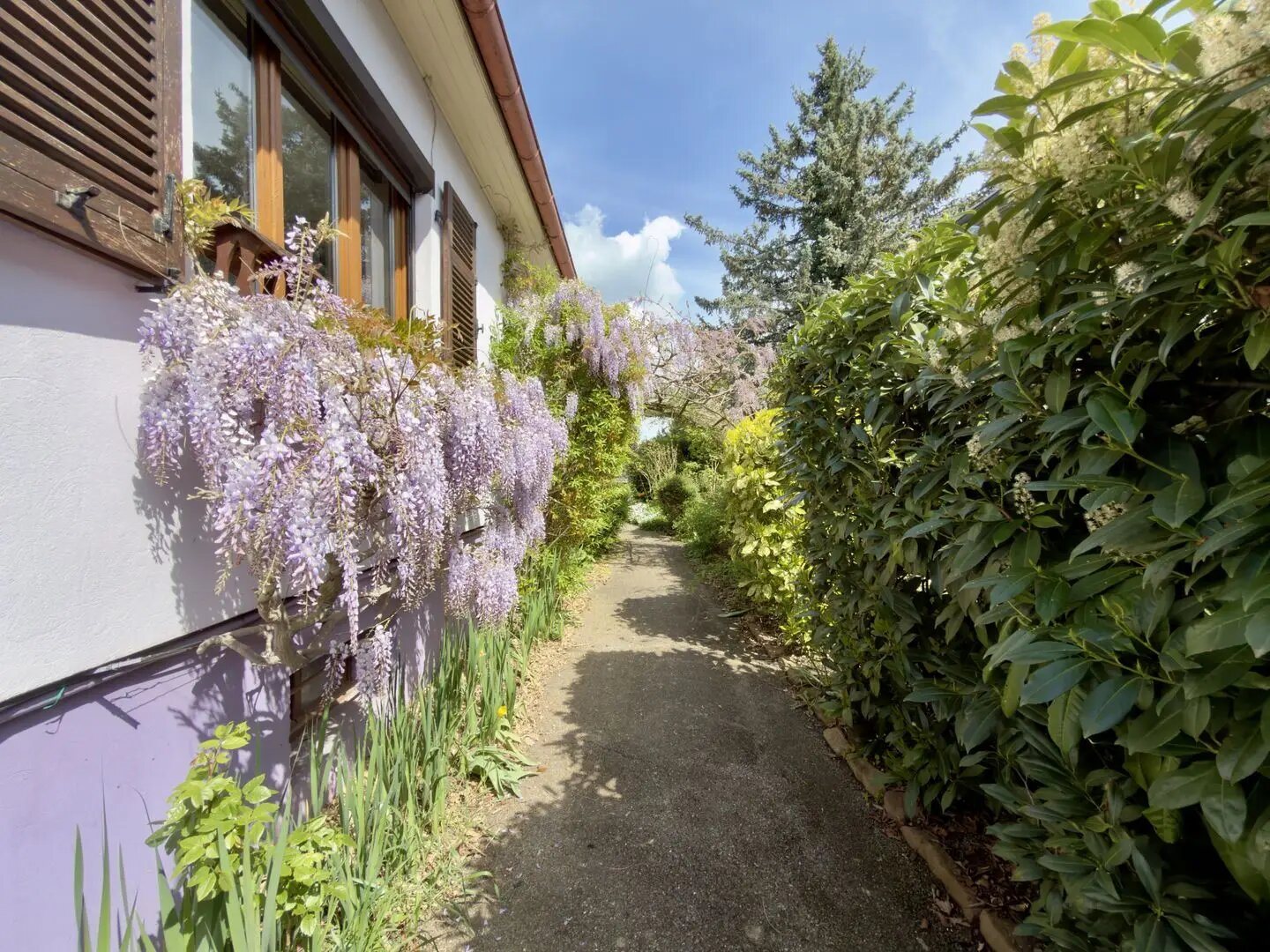 Maison à vendre, 110m², Rixheim