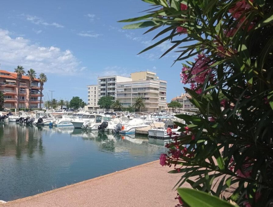 Appartement à louer, 30m², Canet-en-Roussillon