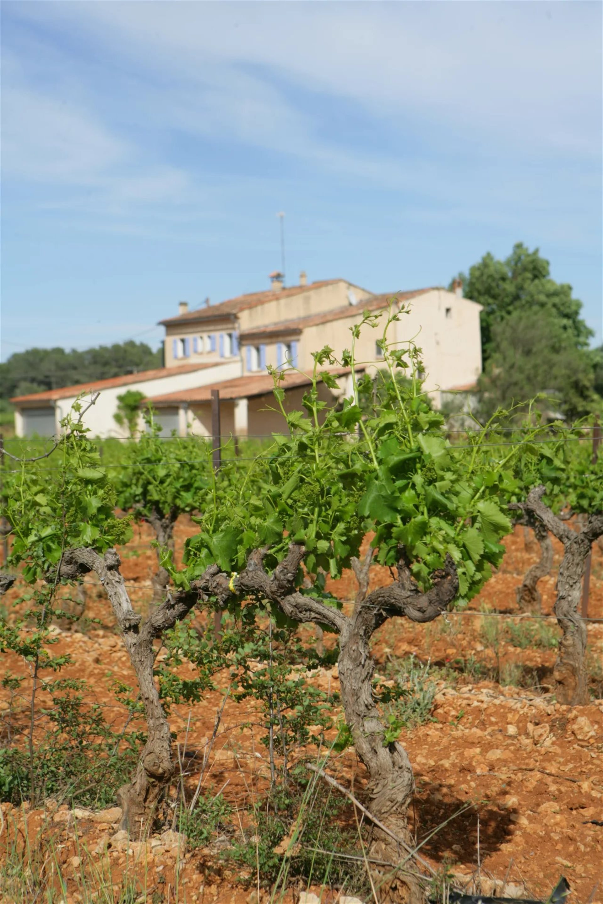 Maison à vendre, 9m², Cotignac