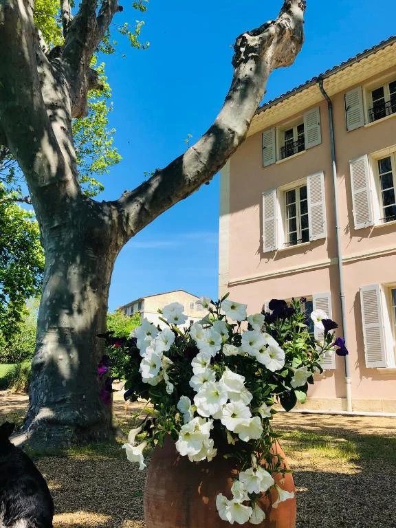Maison à vendre, 430m², Aups