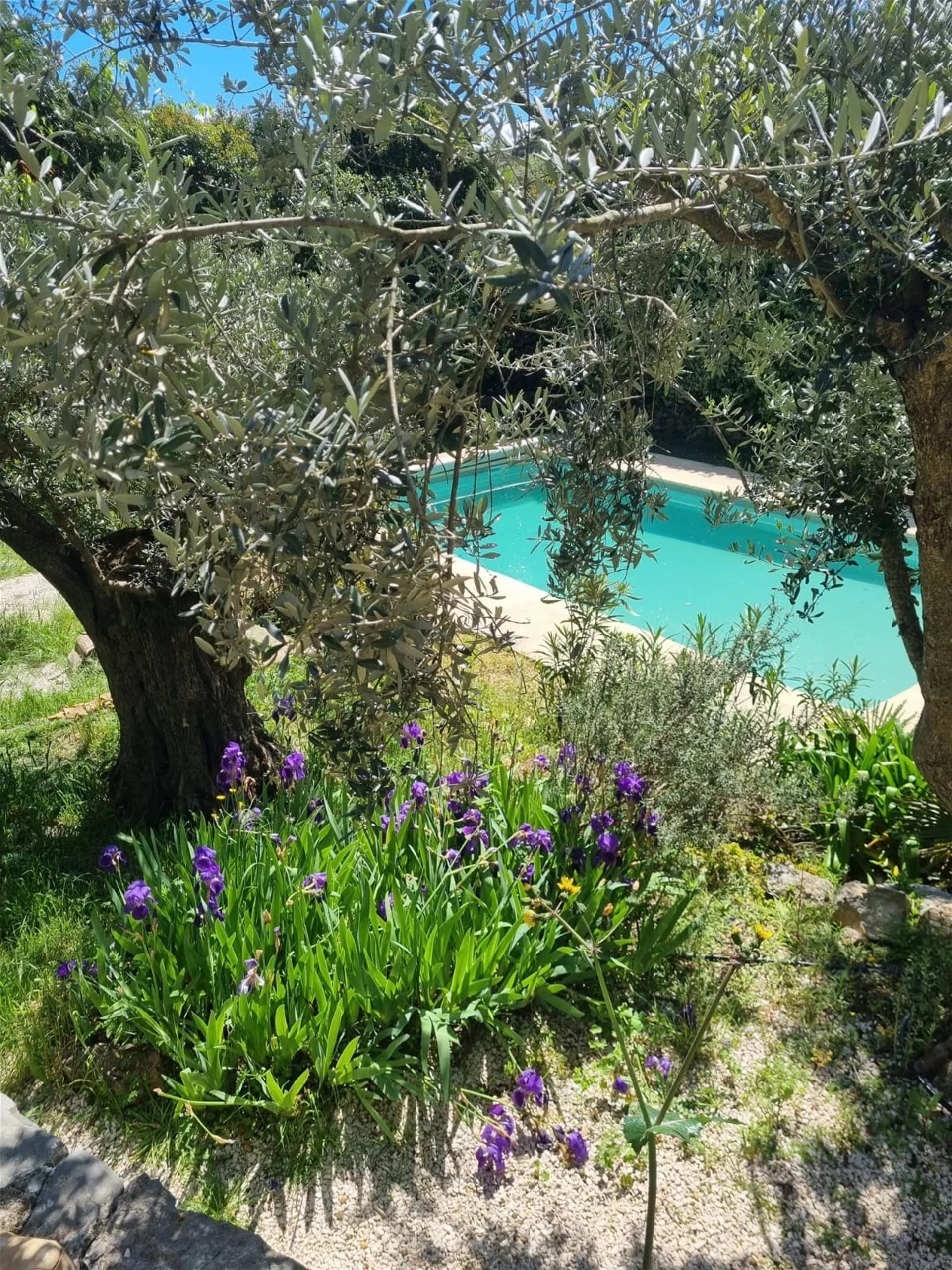 Maison à vendre, 280m², Lorgues
