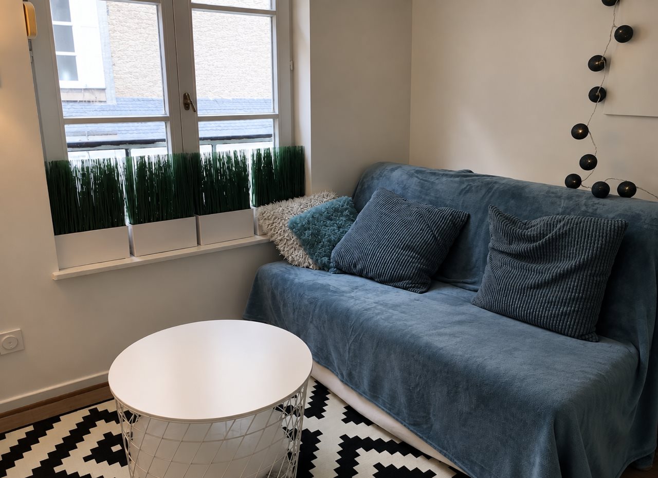 Appartement à vendre, 11m², Strasbourg