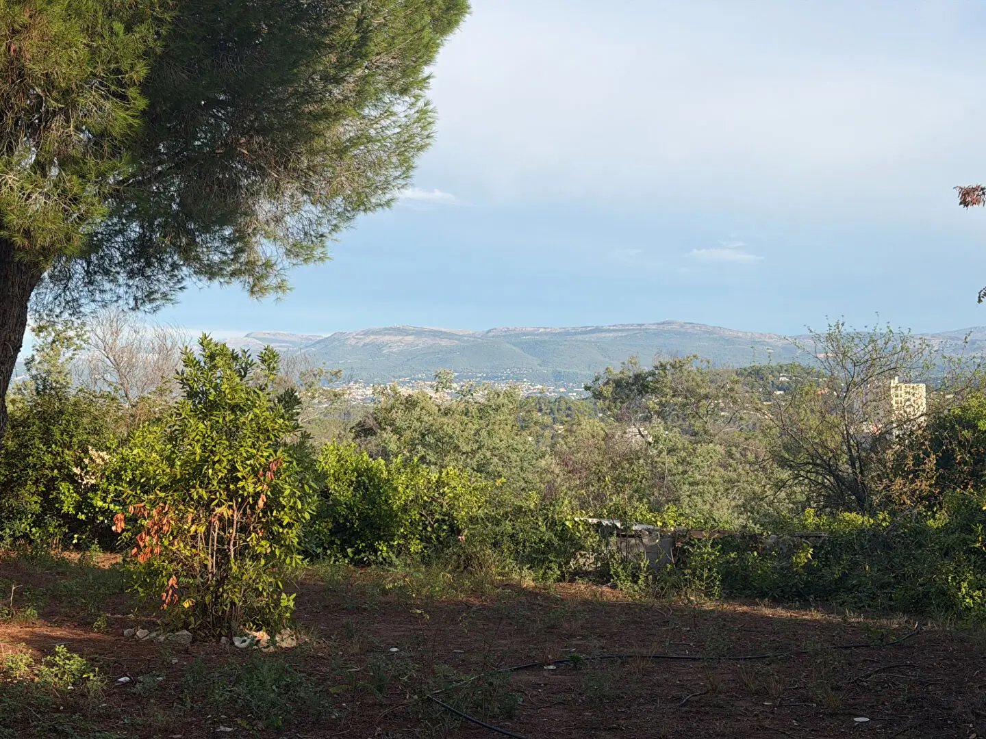 Maison à vendre, 2m², Cannes