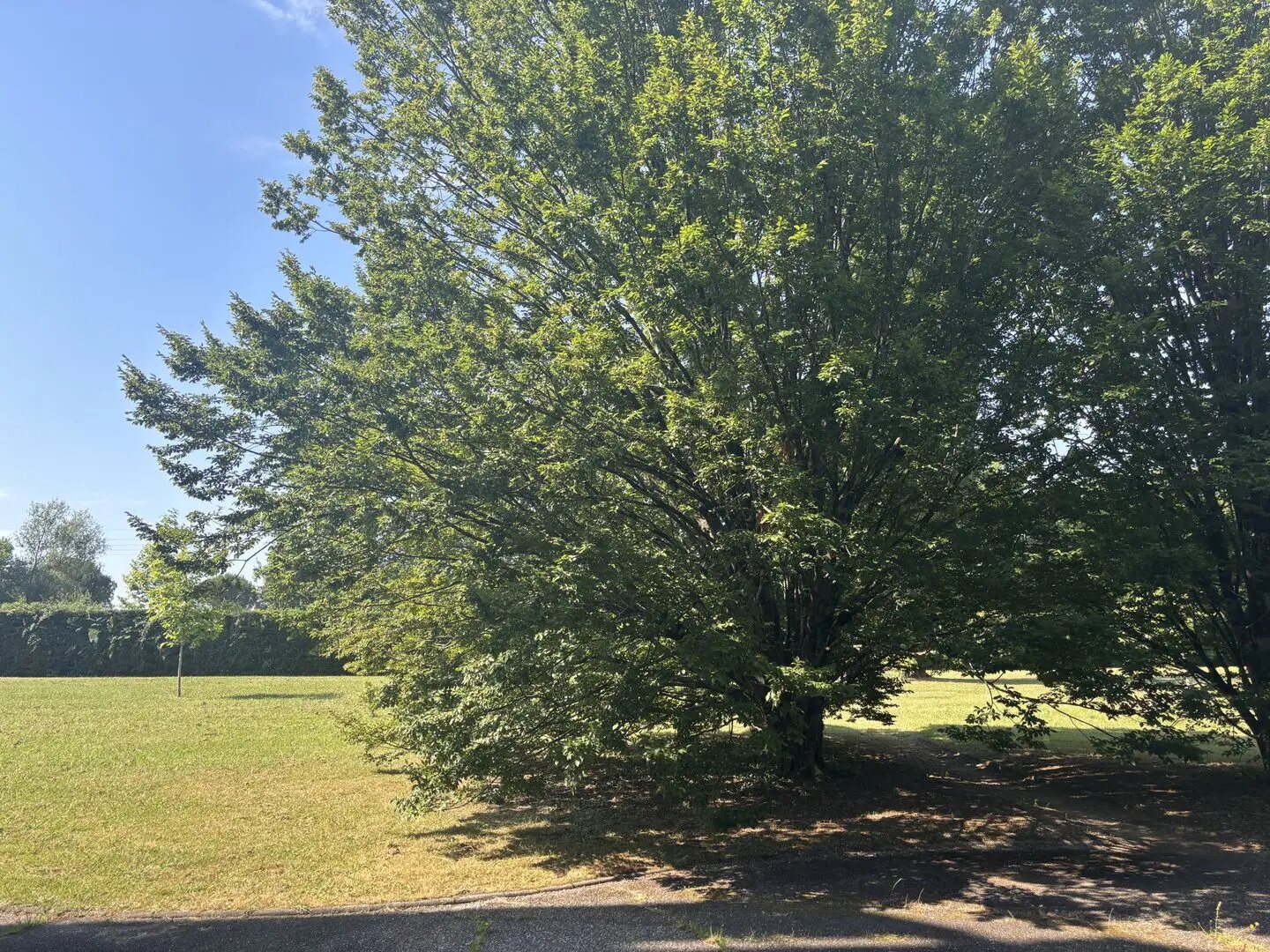 Appartement à vendre, 115m², Mérignac