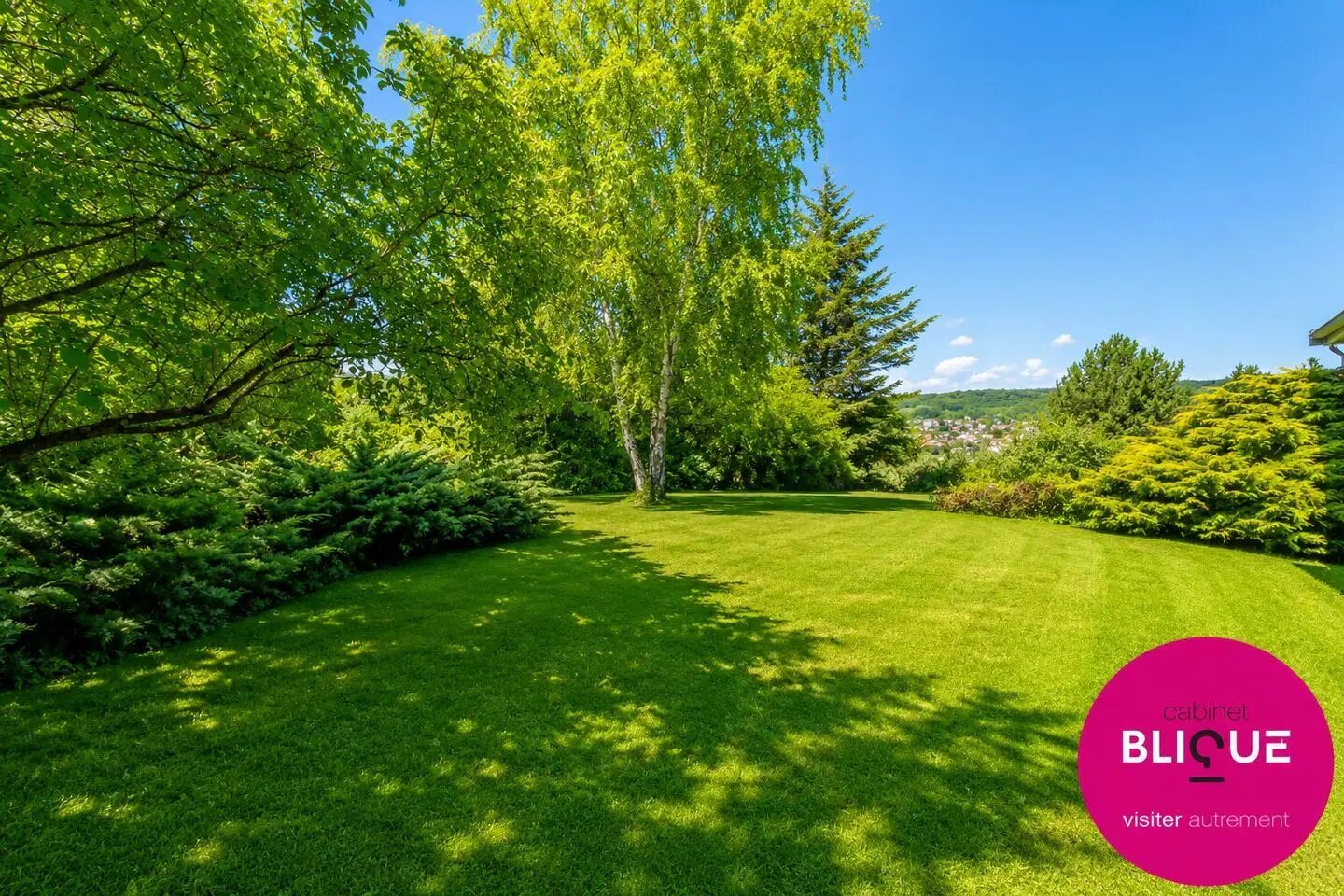 Maison à vendre, 290m², Chavigny