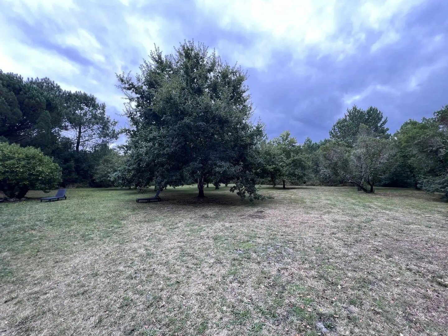Maison à louer, 150m², Carcans