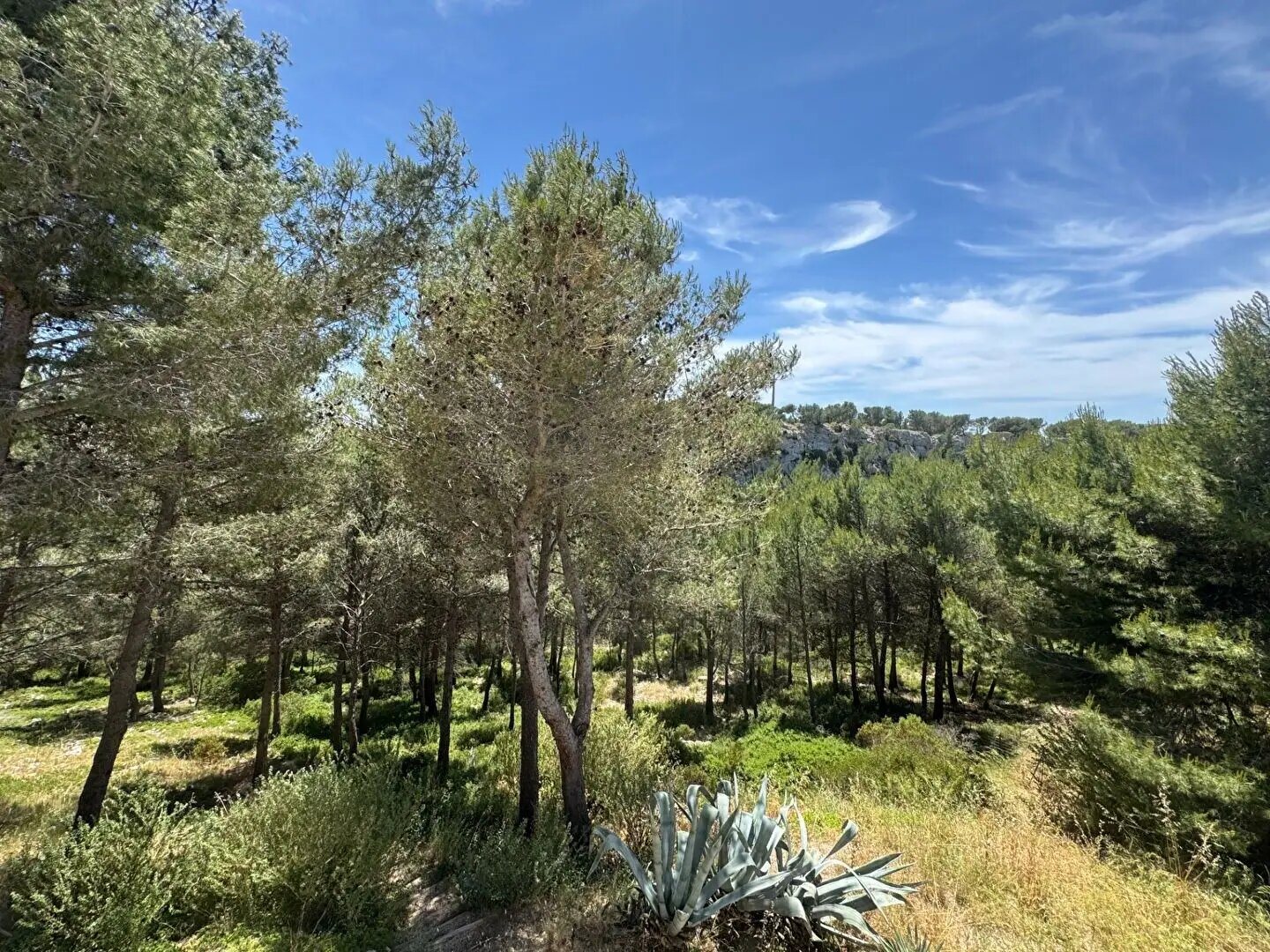 Maison à vendre, 220m², Ensuès-la-Redonne