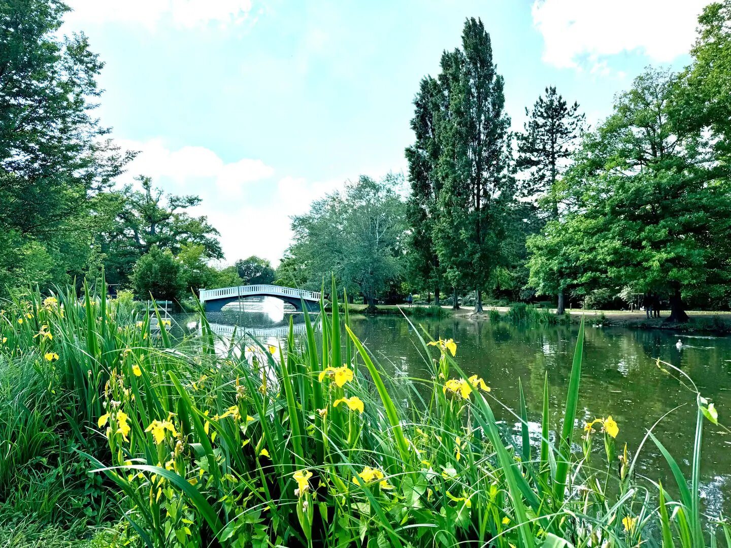 Maison à vendre, 153m², Croissy-sur-Seine
