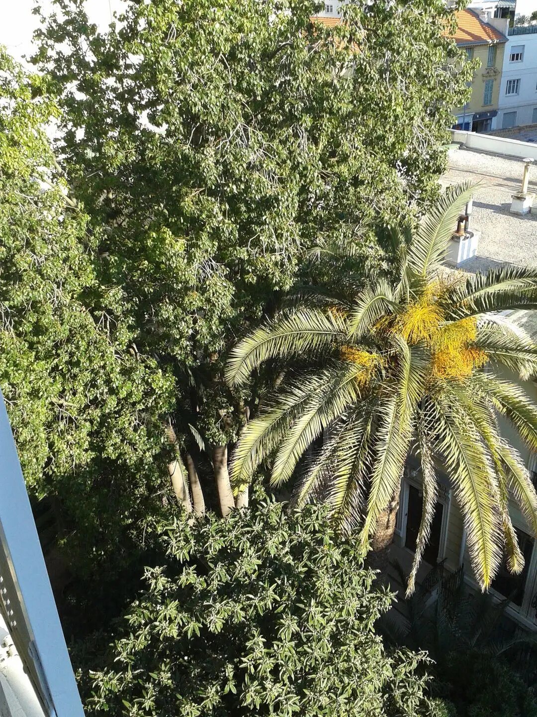 Appartement à louer, 50m², Nice
