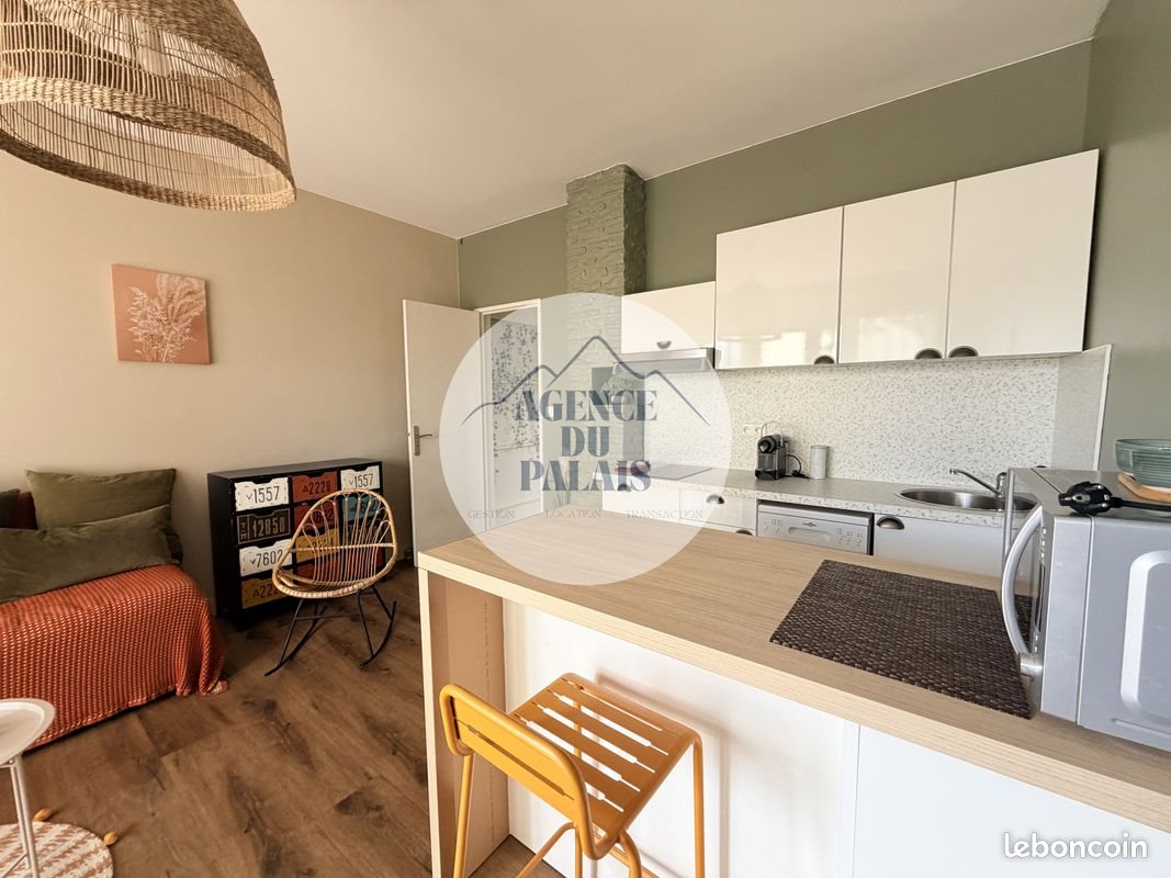 Appartement à louer, 39m², Pau