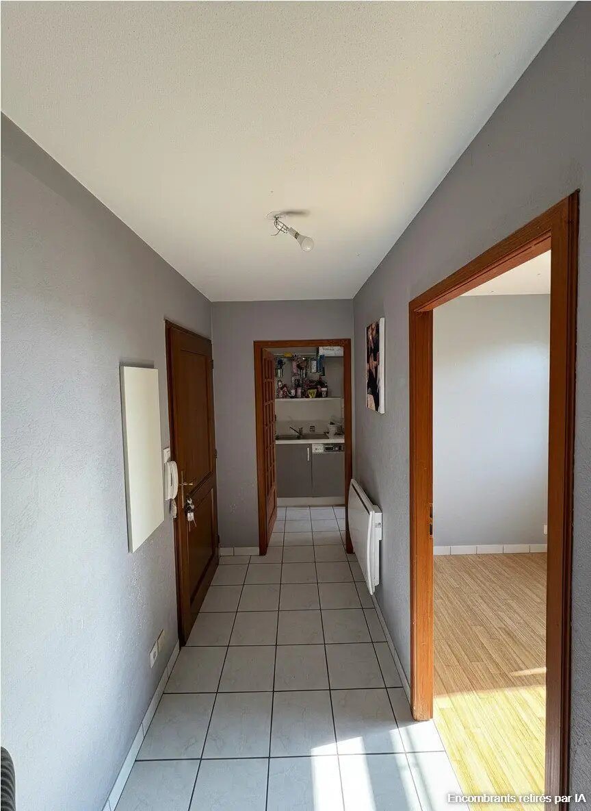 Appartement à louer, 56m², Fegersheim