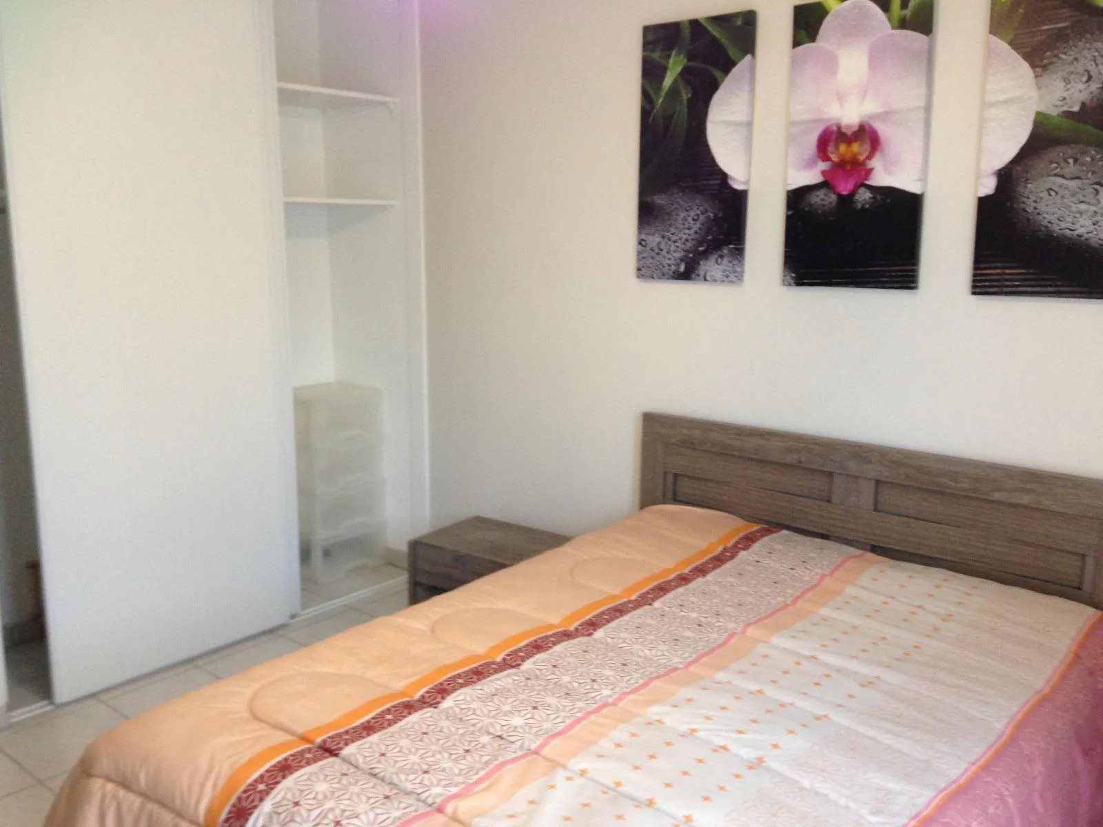 Appartement à louer, 44m², Albi