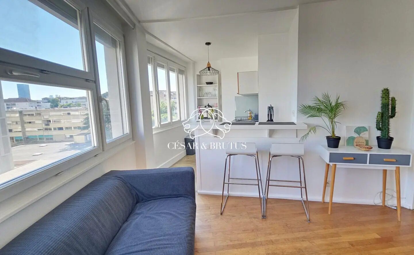 Appartement à vendre, 31m², Villeurbanne