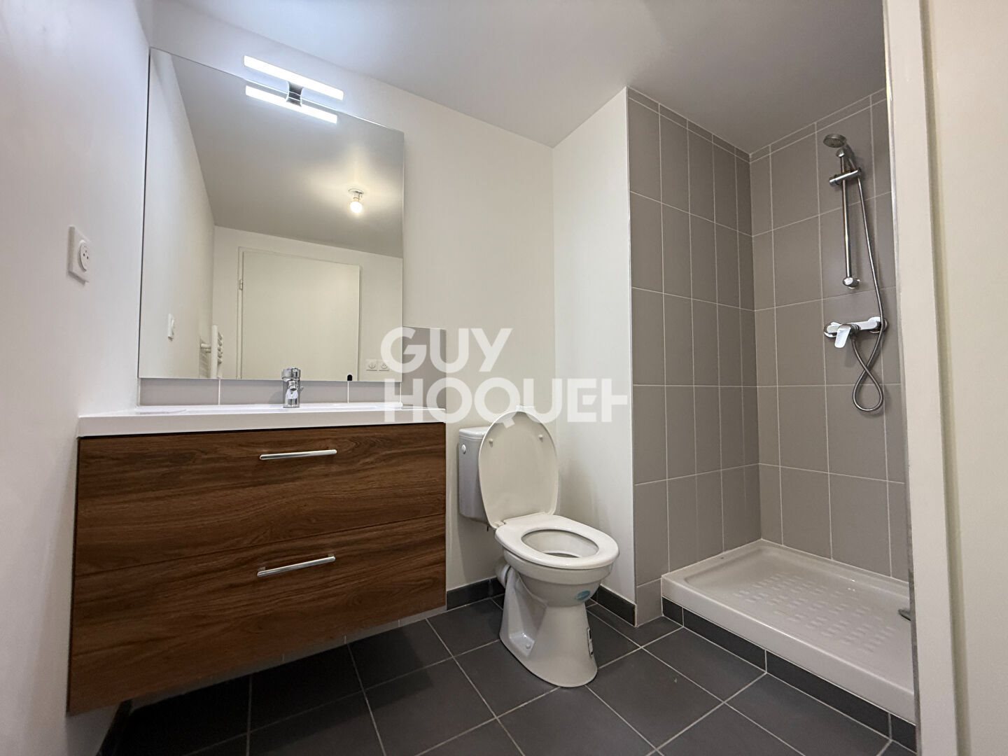 Appartement à louer, 23m², Meyzieu