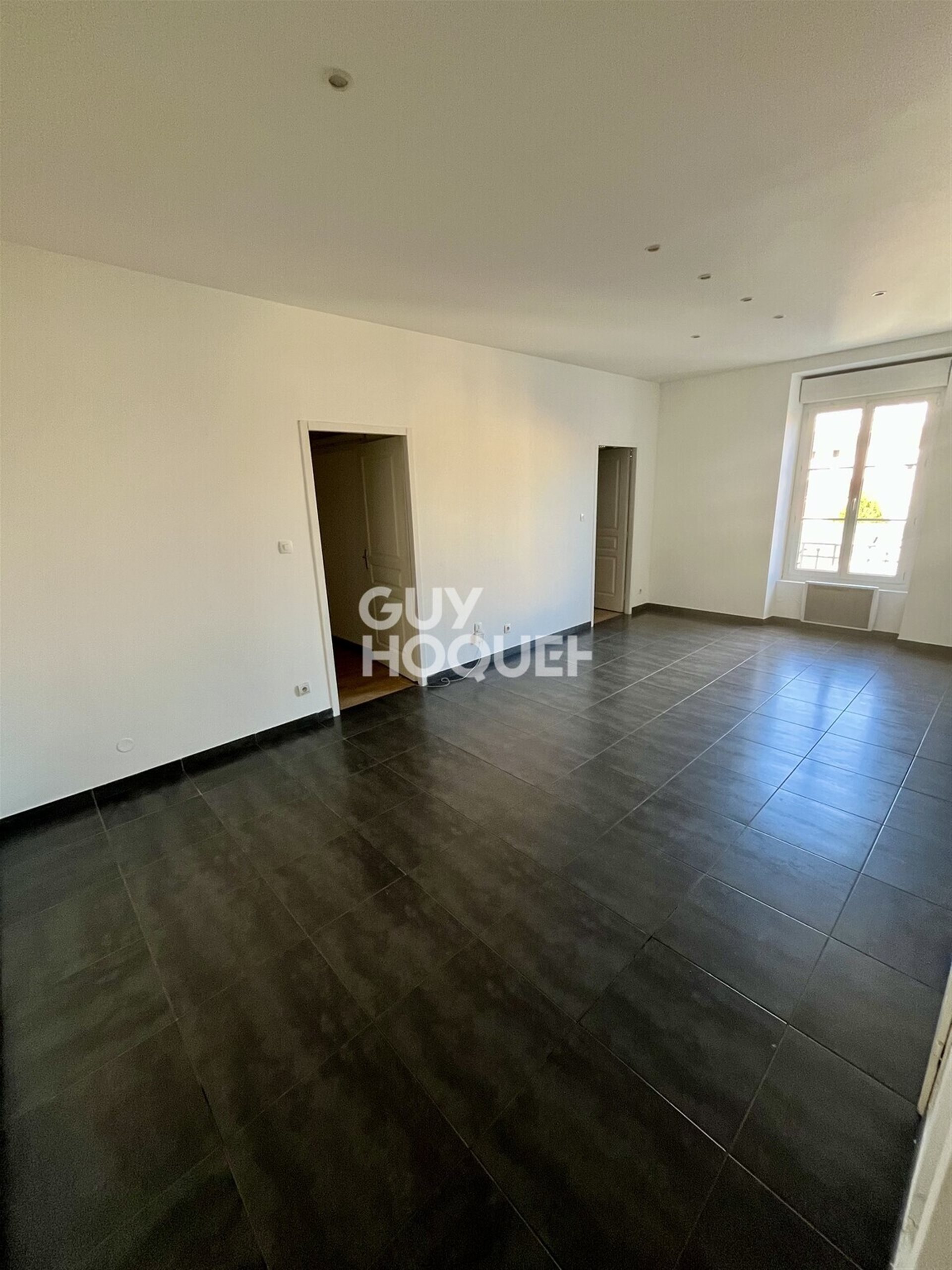 Appartement à louer, 55m², Villeurbanne
