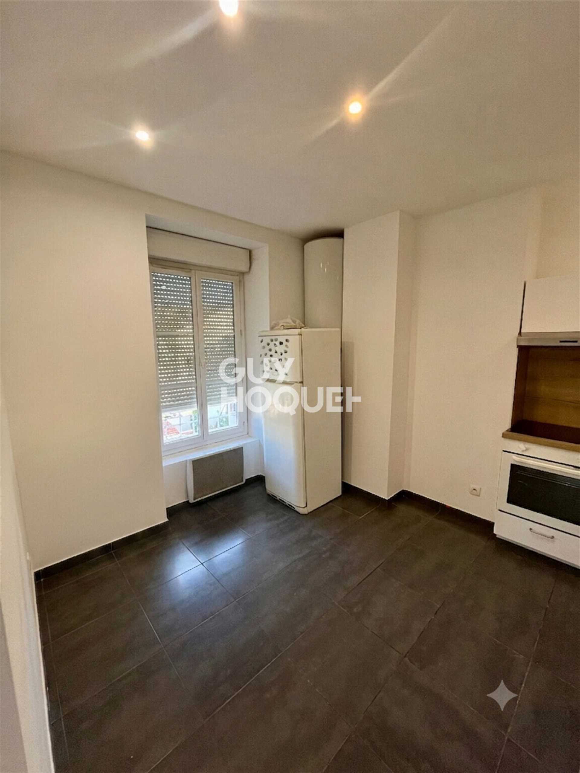 Appartement à louer, 55m², Villeurbanne