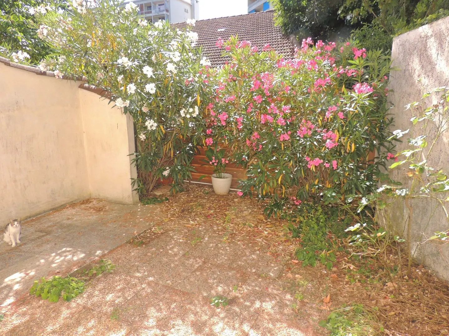 Maison à vendre, 97m², Romans-sur-Isère