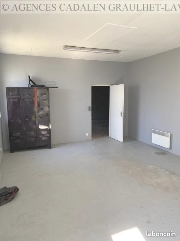 Maison à vendre, 225m², Graulhet