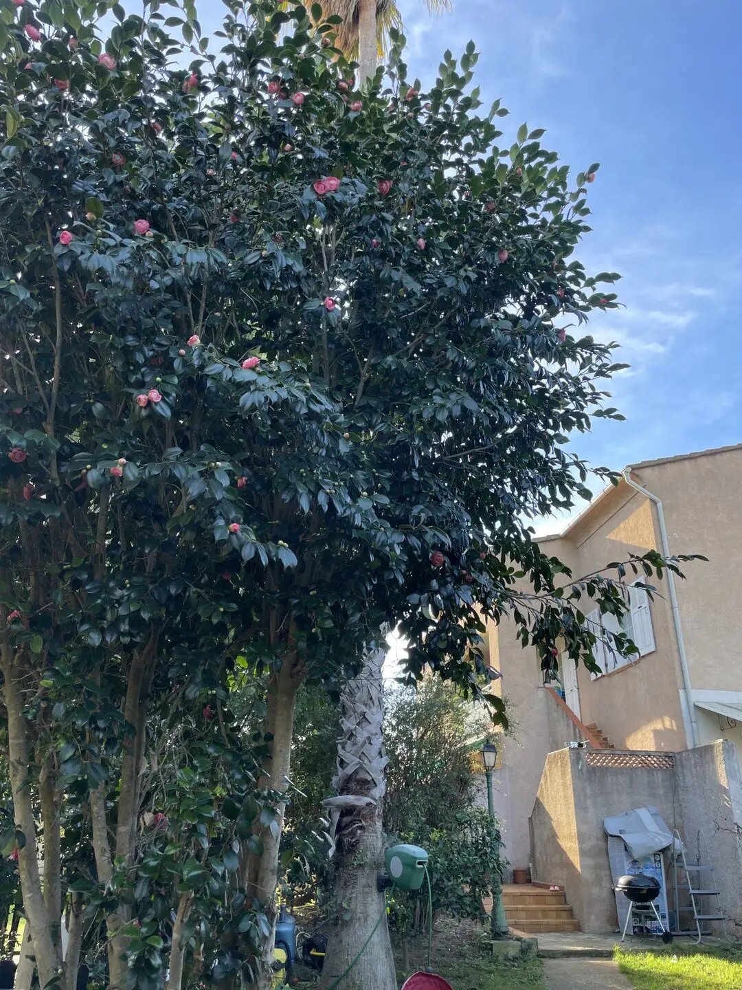 Appartement à vendre, 100m², Penta-di-Casinca