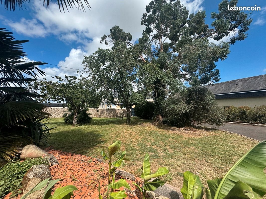 Maison à vendre, 226m², Saint-Florent-le-Vieil