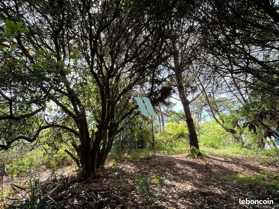 Maison à vendre, 75m², Le Cap-Ferret