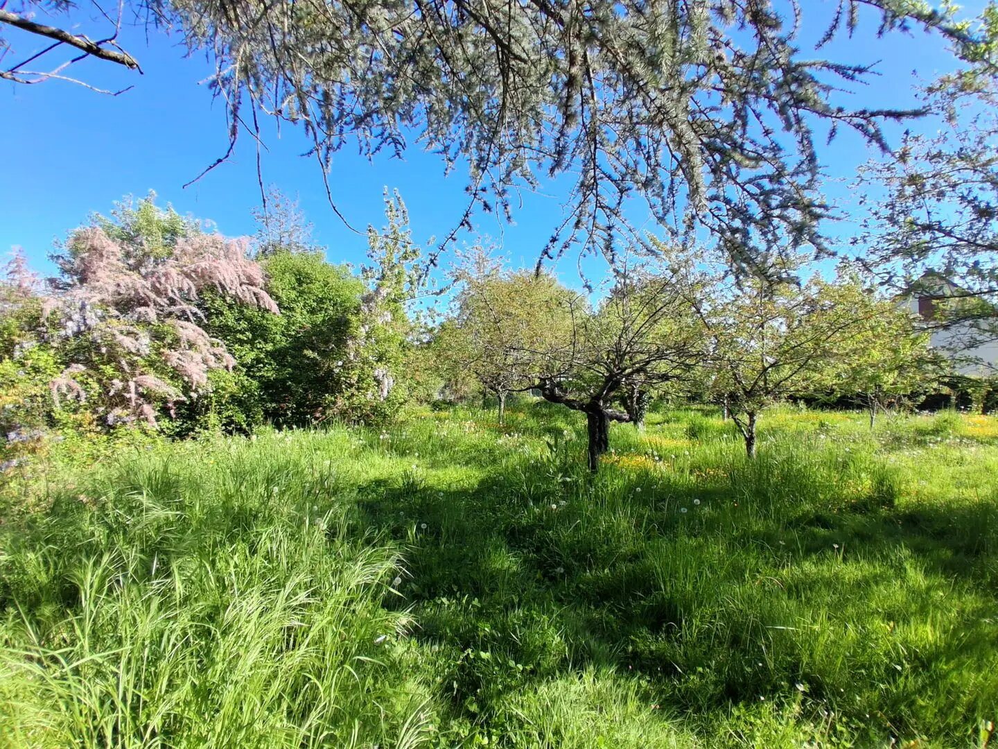 Maison à vendre, 134m², Châtillon-sur-Loire
