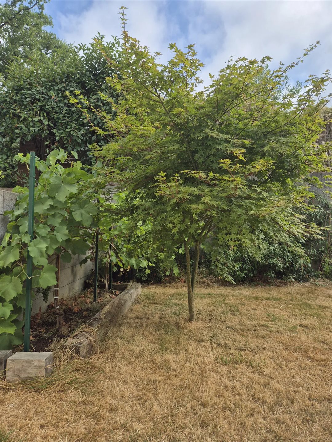 Maison à vendre, 96m², Saint-Aubin-du-Cormier
