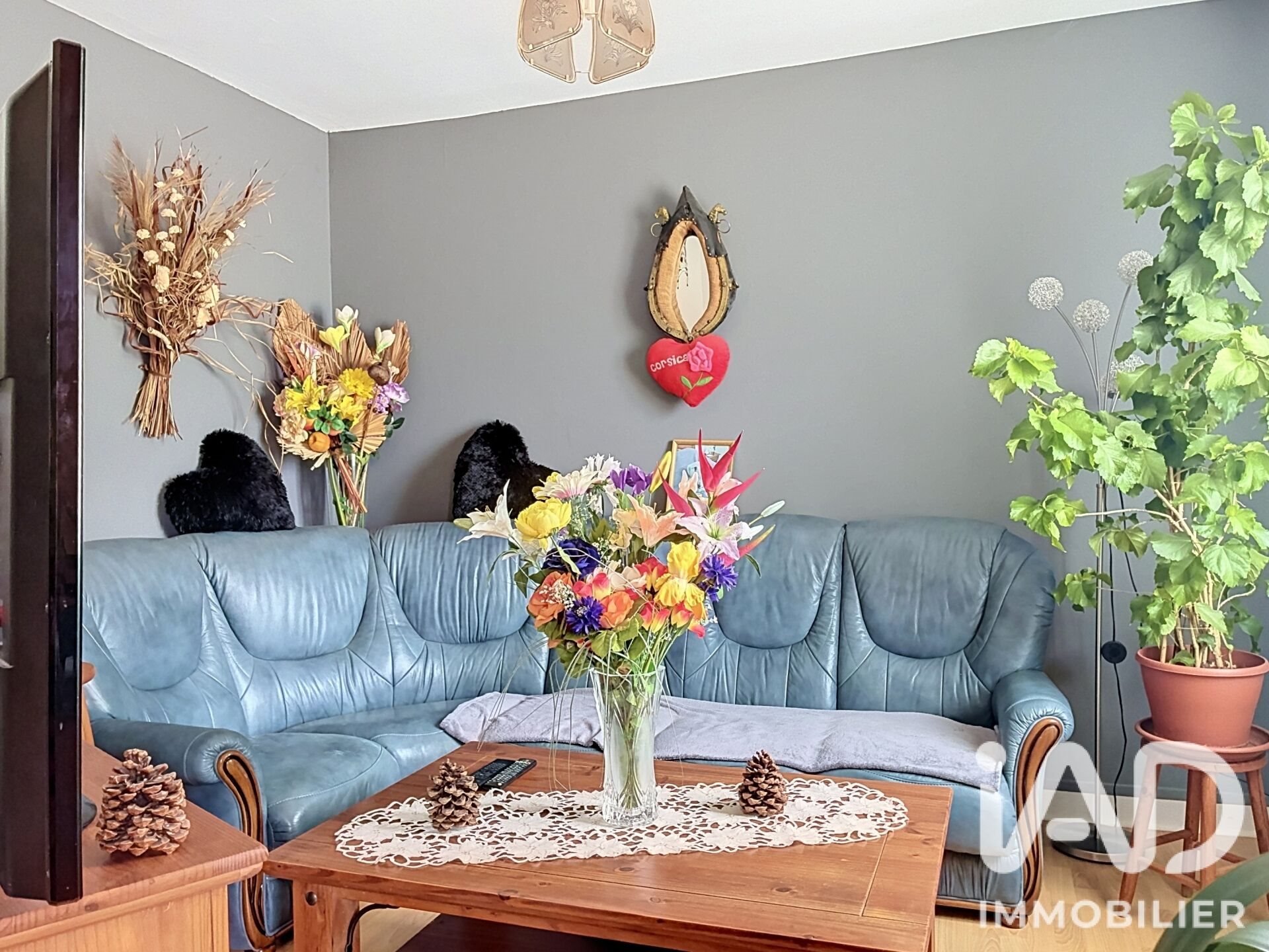 Maison à vendre, 64m², Amilly