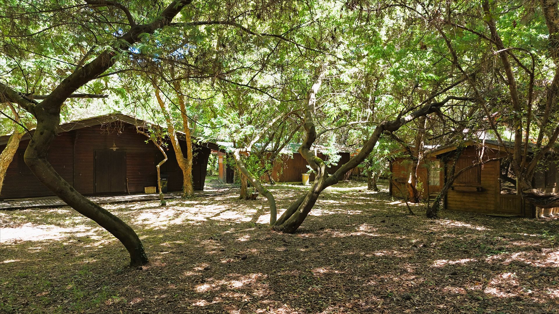 Maison à vendre, 2593m², Le Cap-Ferret