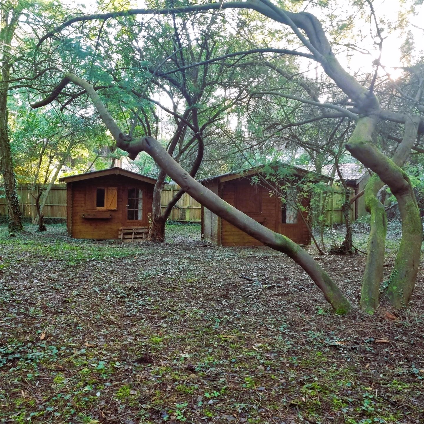 Maison à vendre, 2593m², Le Cap-Ferret