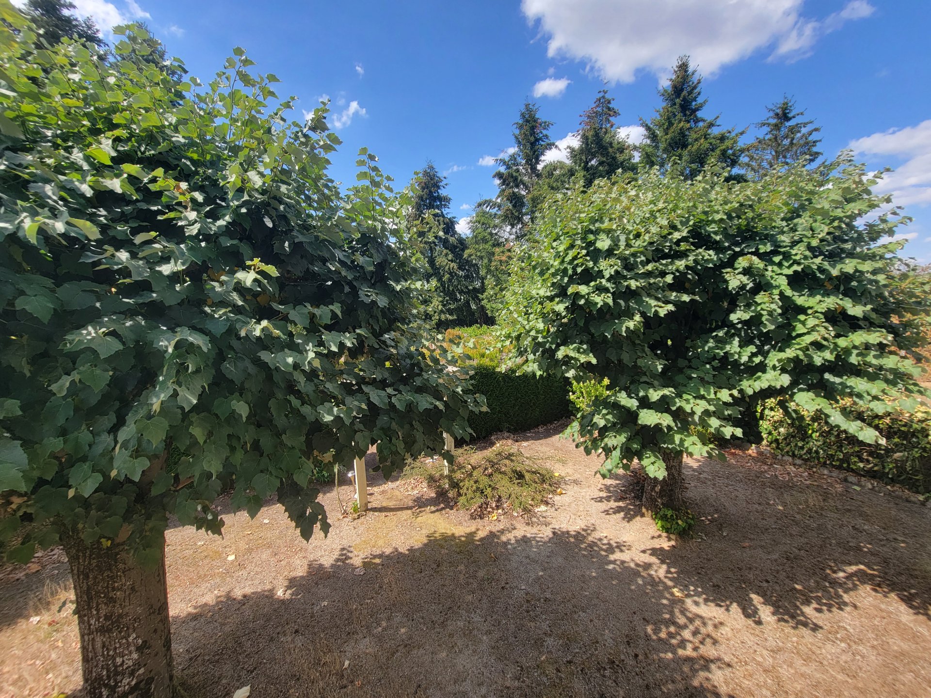 Maison à vendre, 110m², La Guerche-sur-l'Aubois