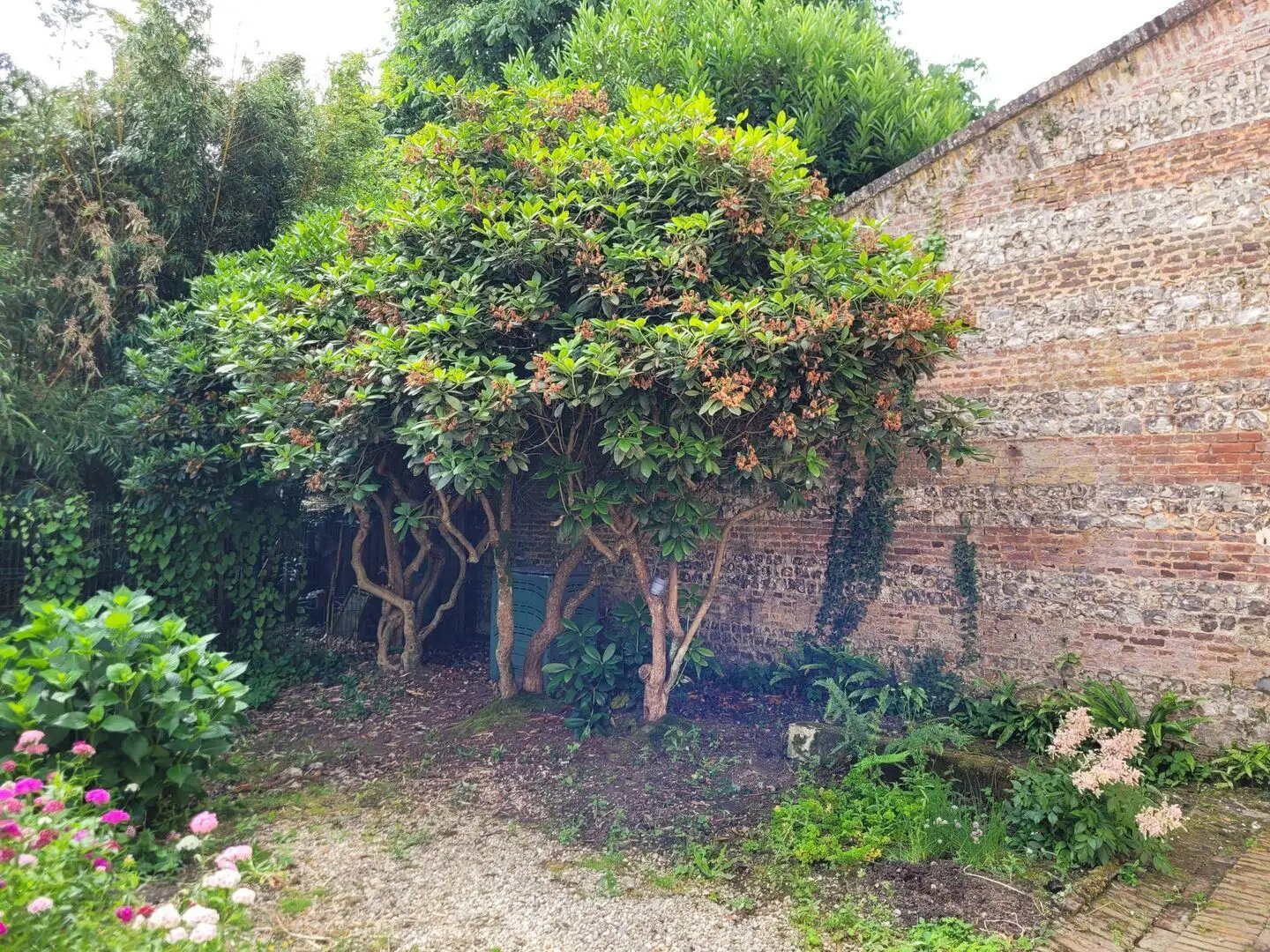 Appartement à louer, 78m², Yvetot