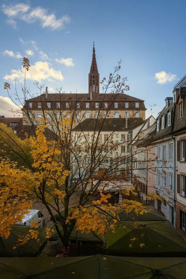 Appartement à vendre, 48m², Strasbourg