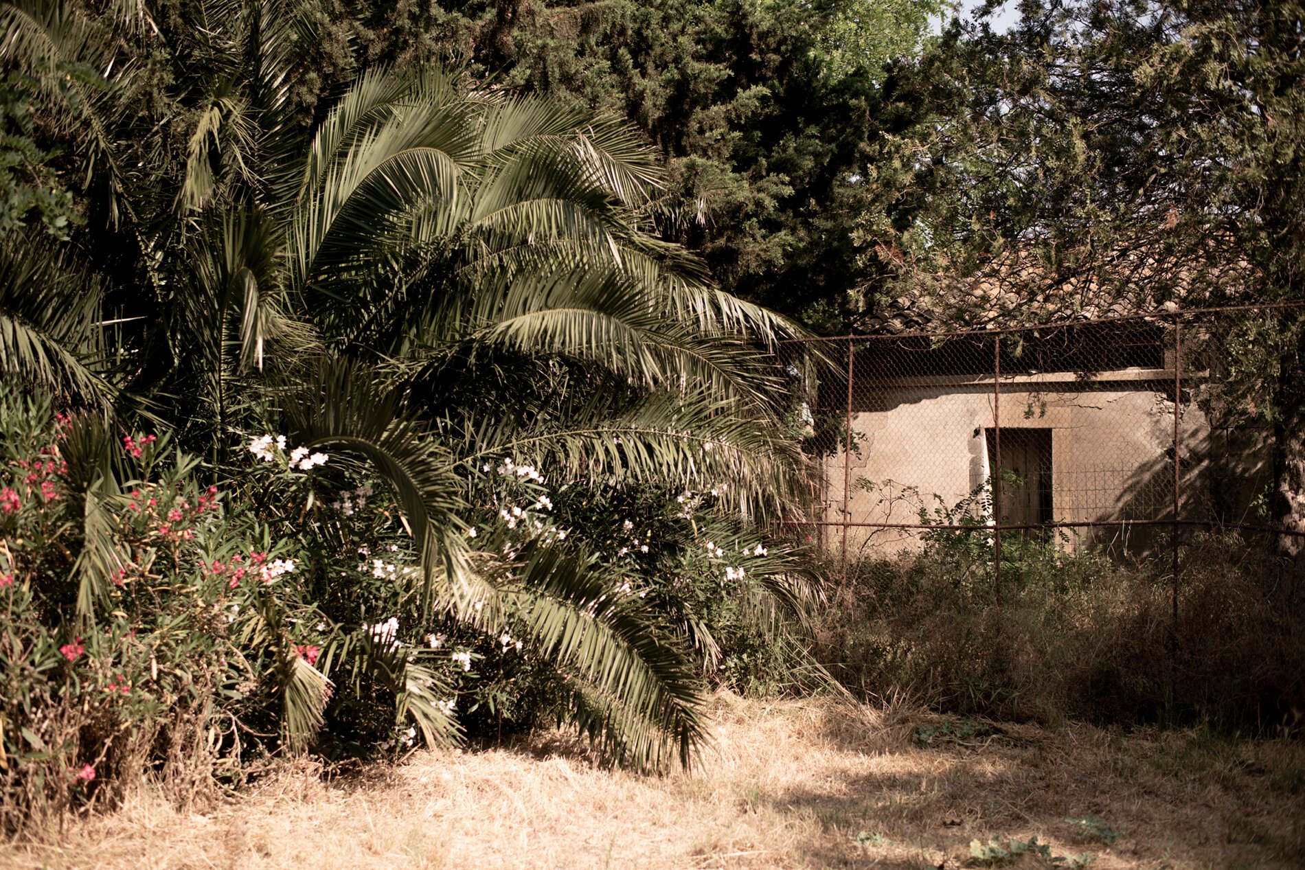 Maison à vendre, 753m², Arles